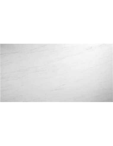 TR 24x48 Bianco Dolomiti Polished - Box