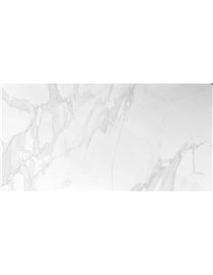 TR 24x48 Belmont White Polished - Box