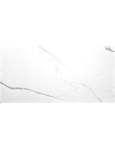 TR 24x48 SG Bianco River Polished - Box