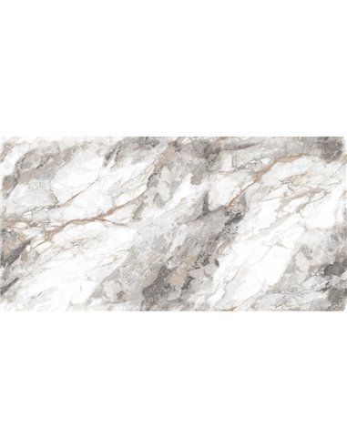 TR 24x48 Florence Galaxy Polished - Box