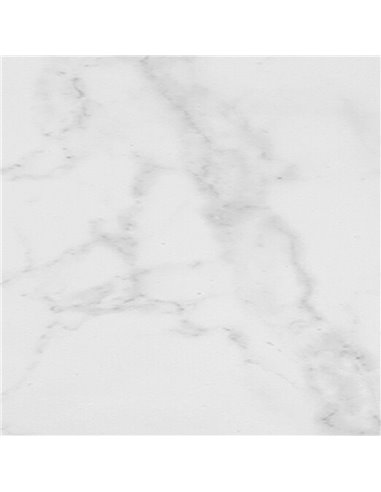 Porcelanosa Carrara Blanco Natural L 59,6X59,6(A) - Box