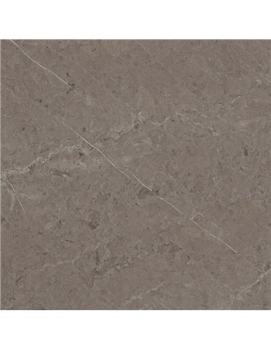 Porcelanosa Karachi Acero L 120X120(A) - Box
