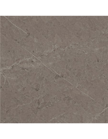 Porcelanosa Karachi Acero L 120X120(A) - Box