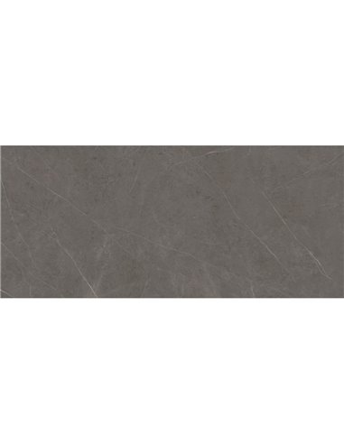 Porcelanosa Liem Grey Nat.05 120X270(6)(A) - Box