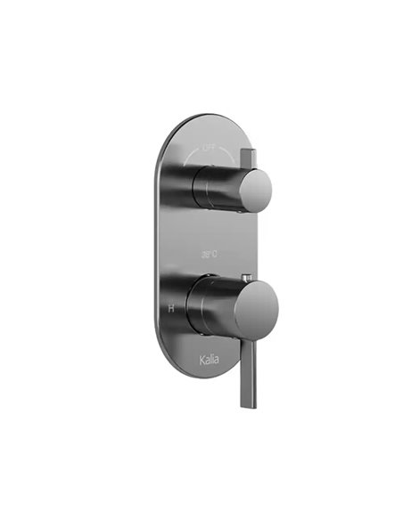 Kalia Round Decorative Trim For 2-Way Or 3-Way Type T/P 1/2" Valve With Diverter