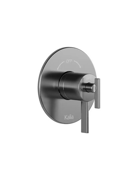 Kalia Roundone 2-Way Aquatonik Type T/P 1/2" Coaxial Valve With Diverter And Round Decorative Trim