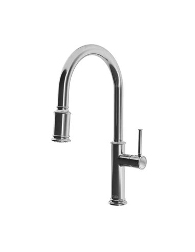 Kalia Okasion Diver Single Handle Kitchen Faucet Pull-Down Dual Spray