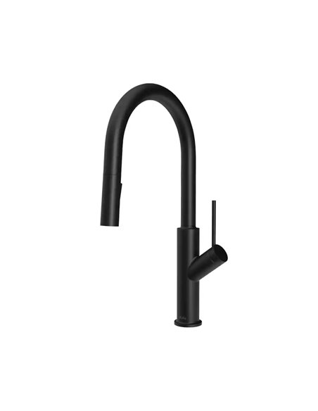 Kalia Karismatik Single Handle Kitchen Faucet Pull-Down Dual Spray