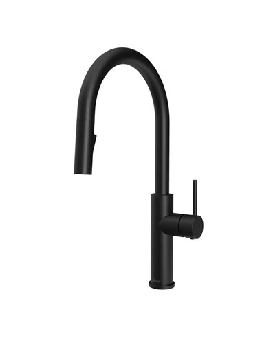 Kalia Specifik Single Handle Kitchen Faucet Pull-Down Dual Spray