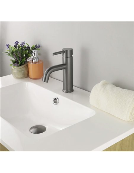 TC-ELEGANTE SINGLE HOLE Sink Bathroom Faucet