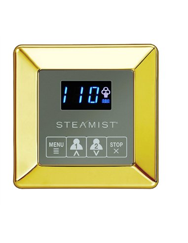Steamist 250 TSC-250 TS Series Time Temp with IM
