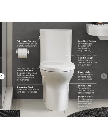 DXV Equility 1-Piece Elongated Toilet