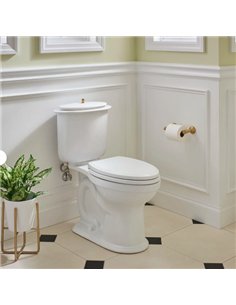 DXV Oak Hill 2-Piece Elongated Toilet