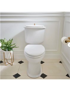 DXV Oak Hill 2-Piece Elongated Toilet 2