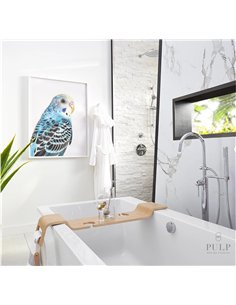 DXV Cossu Freestanding Bathtub  2