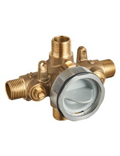 DXV Flash Shower Valve 