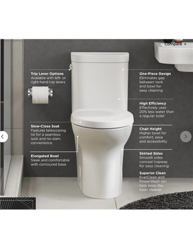 DXV Equility 1-Piece Elongated Toilet