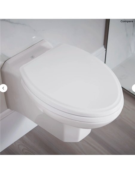DXV Belshire Wall-Hung Elongated Toilet