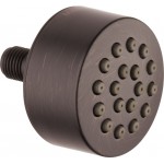 DELTA  SH5000 TOUCH CLEAN BODY SPRAY SPRAYHEAD                            