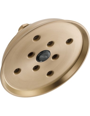 DELTA  RP70173 TRANSITIONAL SHOWERHEAD 2.0 GPM                             