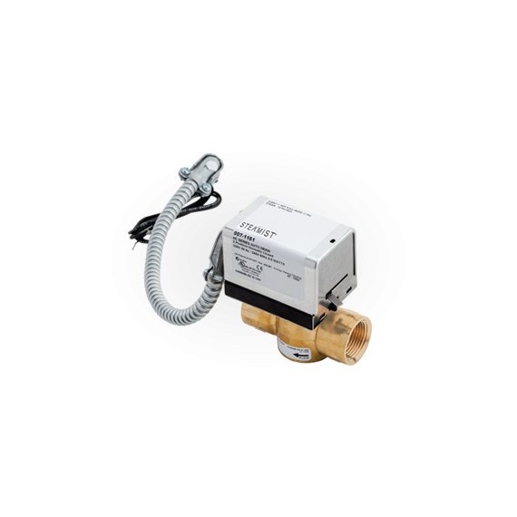 Steamist 68014 Digital Auto Blowdown Valve - 208V