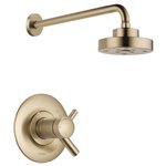 BRIZO JASON WU T60275 SHOWER ONLY - MEDIUM FLOW 