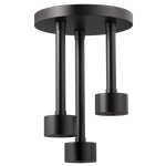 BRIZO LITZE 81335 CEILING MOUNT PENDANT RAINCAN SHOWERHEAD 