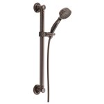 DELTA TRADITIONAL 51900 DECORATIVE ADA SHOWER KIT                       