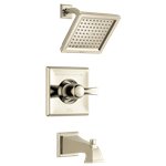 DELTA DRYDEN T14451-WE MONITOR-R 14 SERIES TUB AND SHOWER TRIM