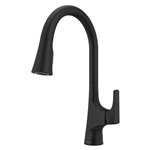 Pfister Norden 1-Handle Pull-Down Kitchen Faucet 