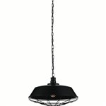 CWI Morgan 1 Light Down Pendant With Black Finish