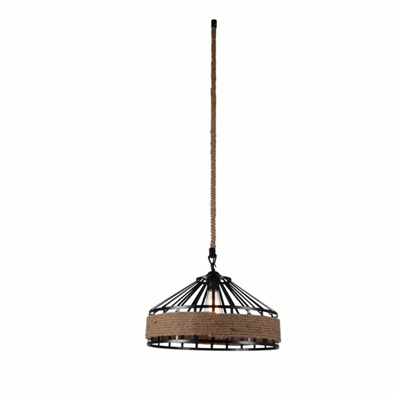 CWI Padma 1 Light Down Pendant With Black Finish